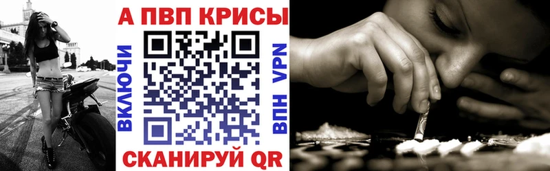 APVP СК  МЕГА ССЫЛКА  Суздаль 