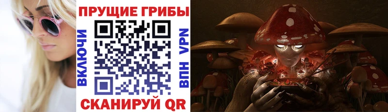 Галлюциногенные грибы GOLDEN TEACHER  Суздаль 